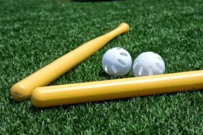 Wiffle Ball Tournament- (4) Team